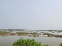 -鄱阳湖国家湿地公园