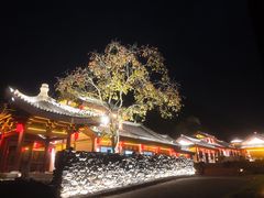 -千年银杏谷文化旅游区