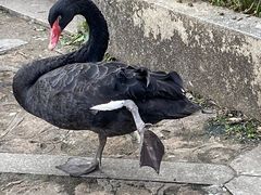 -洛阳白云山景区