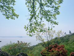 -巢湖姥山岛