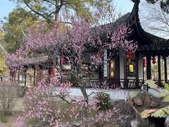 -雨花胜境