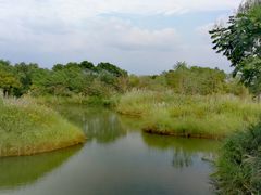 -梁鸿国家湿地公园