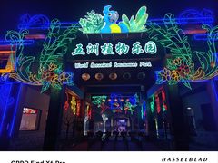 -南宫五洲植物乐园