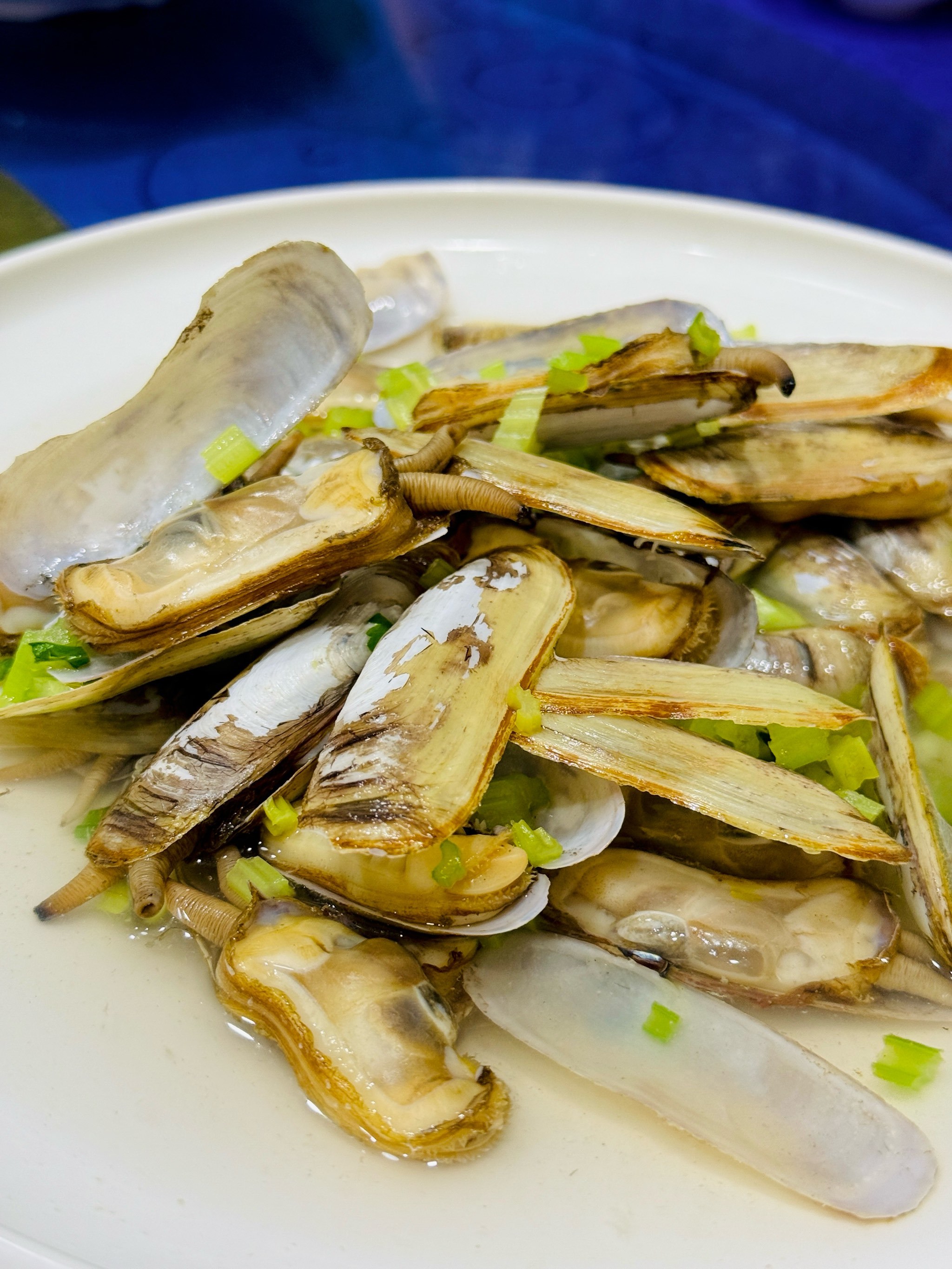 在普陀山脚下吃到的舟山小海鲜🦞