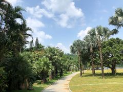 -深圳仙湖植物园