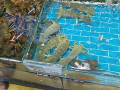 -船奇蒸汽海鲜·闽菜(八市海鲜总店)