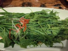 清炒豌豆尖-懒人盐府人家·自贡大麻鱼(安贞店)