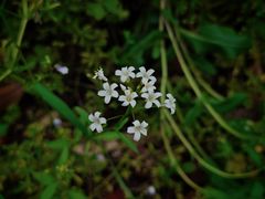 -苏州河梦清园环保主题公园