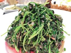 -明仕田园酒店