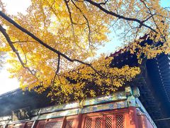 -红螺寺