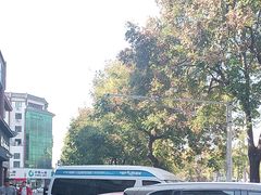 -一记洛阳菜·糖醋小排·水席(十字街店)