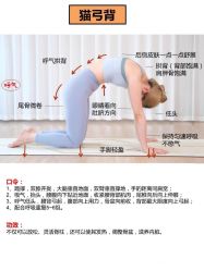 -亚太瑜伽普拉提学院