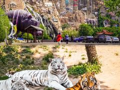 -西霞口神雕山野生动物世界