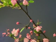 -武定门公园