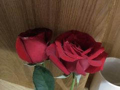 -盒悦高端盒饭(中海国际中心店)