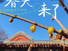 -陶然亭公园