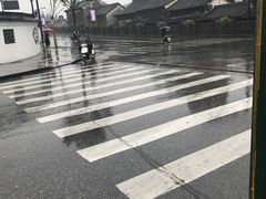 马兰头炒香干-邱记私房菜·十八年本地菜
