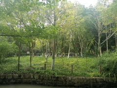 -瀛洲公园
