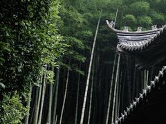 -兰亭风景区
