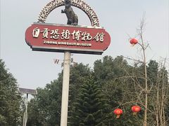 -自贡恐龙博物馆