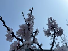 -黔香阁·味(花木店)