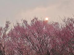 -蜀冈西峰生态公园