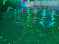 -青岛东方影都融创水世界