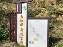 -广州白江湖森林公园