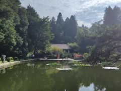 -庐山风景区花径公园