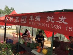 -庞各庄西瓜蔬菜采摘园·锦华瓜园