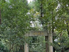 -上海佘山国家森林公园天马山园