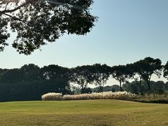 -旭宝高尔夫俱乐部