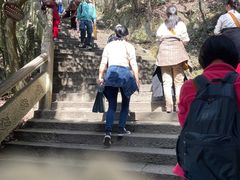-普陀山风景区-佛顶山