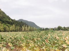 -贵阳市花溪国家城市湿地公园