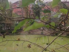 -上海神旺大酒店