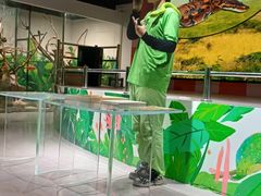 -上海大自然野生昆虫馆(东方明珠·爬宠昆虫探索中心)