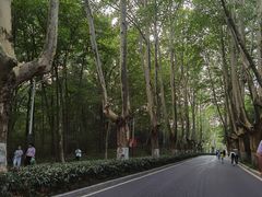 -WeLope紫金山探险公园