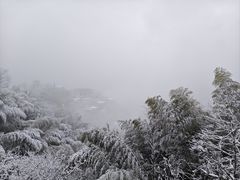 -莫干山风景区