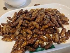 -爱膳菌锅锅(阳南店)