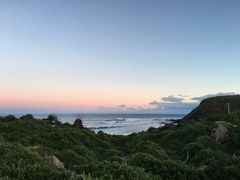 -企鹅岛