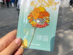 -潭柘寺景区