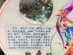 -西双版纳原始森林公园