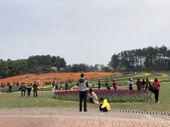 -保利石象湖景区