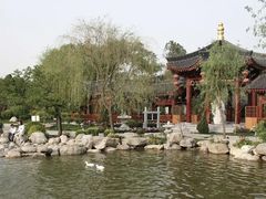 -中国翰园碑林