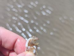 -南澳海滩