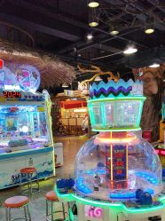 -卡通尼·Safari非洲探索乐园·生日会(金桥国际商业广场店)