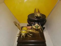 -上海昆虫博物馆