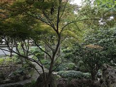 -上海醉白池公园