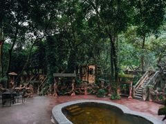 -天门沟九州驿站树上汤泉