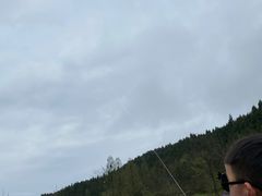 -武陵山森林公园